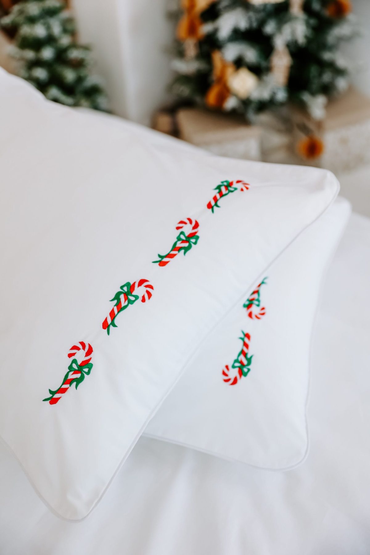 Set 2 fețe de pernă – broderie Acadele